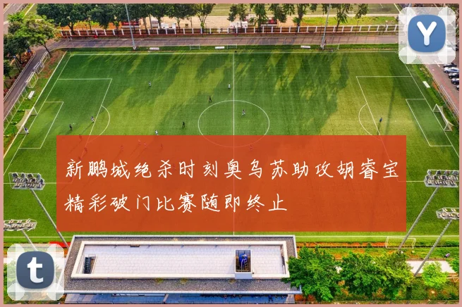 新鹏城绝杀时刻奥乌苏助攻胡睿宝精彩破门比赛随即终止